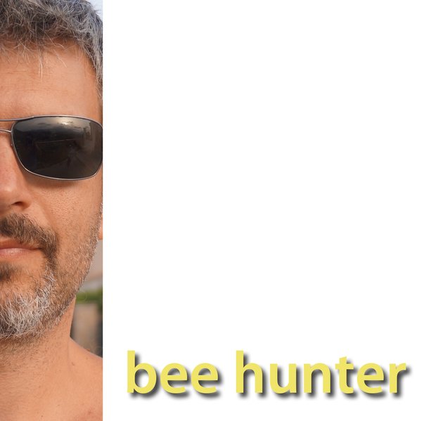Bee Hunter