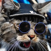 Блог. Кот  Котов группа в Моем Мире.