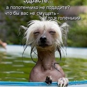 Всем кому нравится:Любовь,секс,деньги,приколы и т. д.То вам сюда группа в Моем Мире.