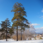 джон де ниро on My World.