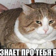 читатель кот on My World.