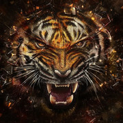 Tiger Tiger on My World.
