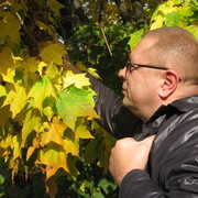 Александр Румянцев on My World.