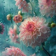 Наталья Литвинова on My World.