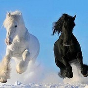 Tanja Alita, психолог on My World.