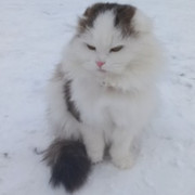 Бакытжан К on My World.