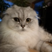 Ludmila Popshoy on My World.