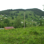 Оля Дунаєва on My World.