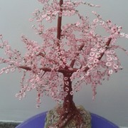 света данилова on My World.