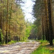 МУ Администрация Варламовского сельского поселения on My World.
