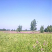 Клим . on My World.