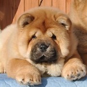 Константин Геннадьевич on My World.