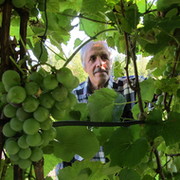 Александр Кривоноженков on My World.
