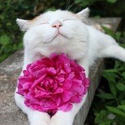 Гульнара Чапбаева on My World.