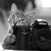 Larissa Mikhailova on My World.