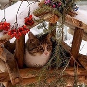 Светлана Л on My World.
