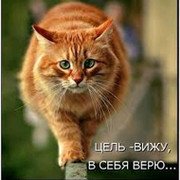 Дмитрий  Марданов on My World.