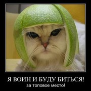 Елена Бессонова on My World.