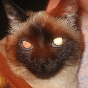 дмитрий кондратьев on My World.