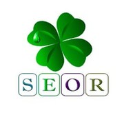 SEOR LLC on My World.