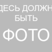 Здесь будет фото картинка