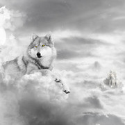 proud wolf on My World.