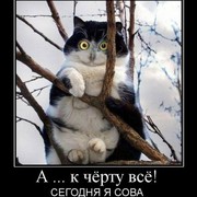 Николай Журавлев on My World.