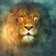 Николай Рогачевский on My World.