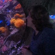 Елена Севастеева on My World.