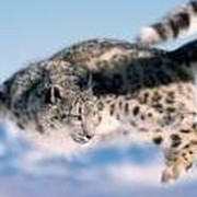 Андрей Шипов on My World.