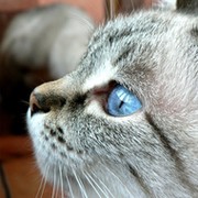 Ольга SH on My World.