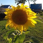 Iren SSS on My World.