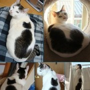 Стройпласт Нуртдинова on My World.