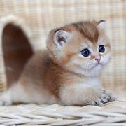 Татьяна Наймушина on My World.