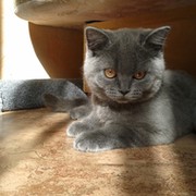 Антонина ****** on My World.