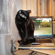 тина валентина on My World.